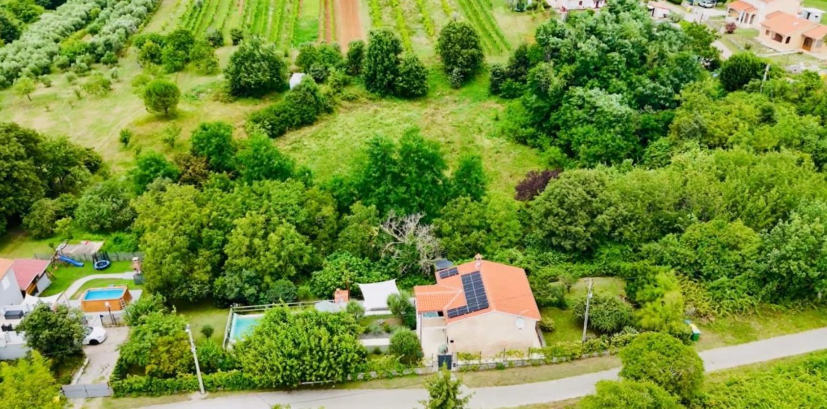 Wellness House Oliva With Heated Salt Water Pool, Sauna & Jakuzzi Labin (Istria) Exterior foto